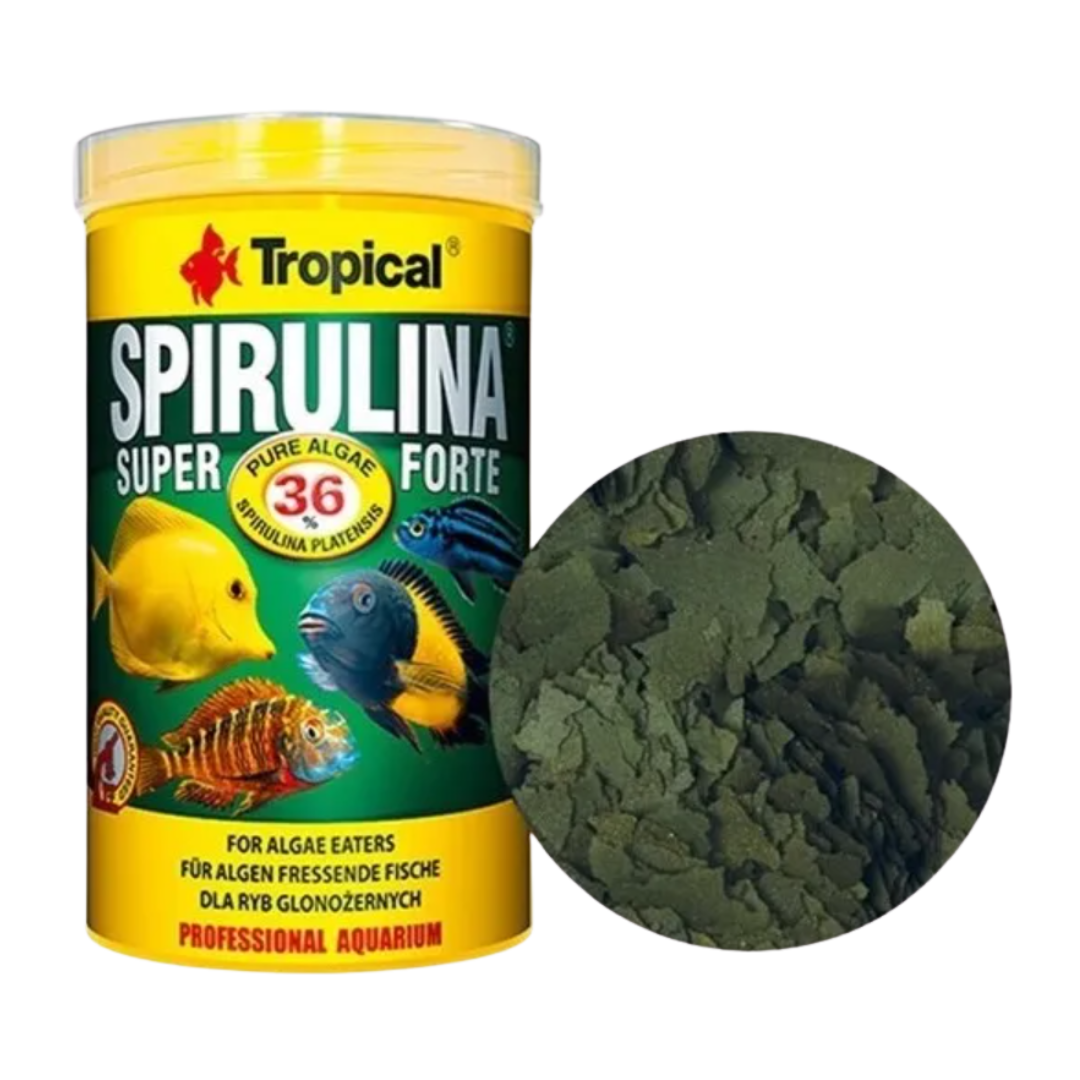 Ração Super Spirulina Forte Flakes