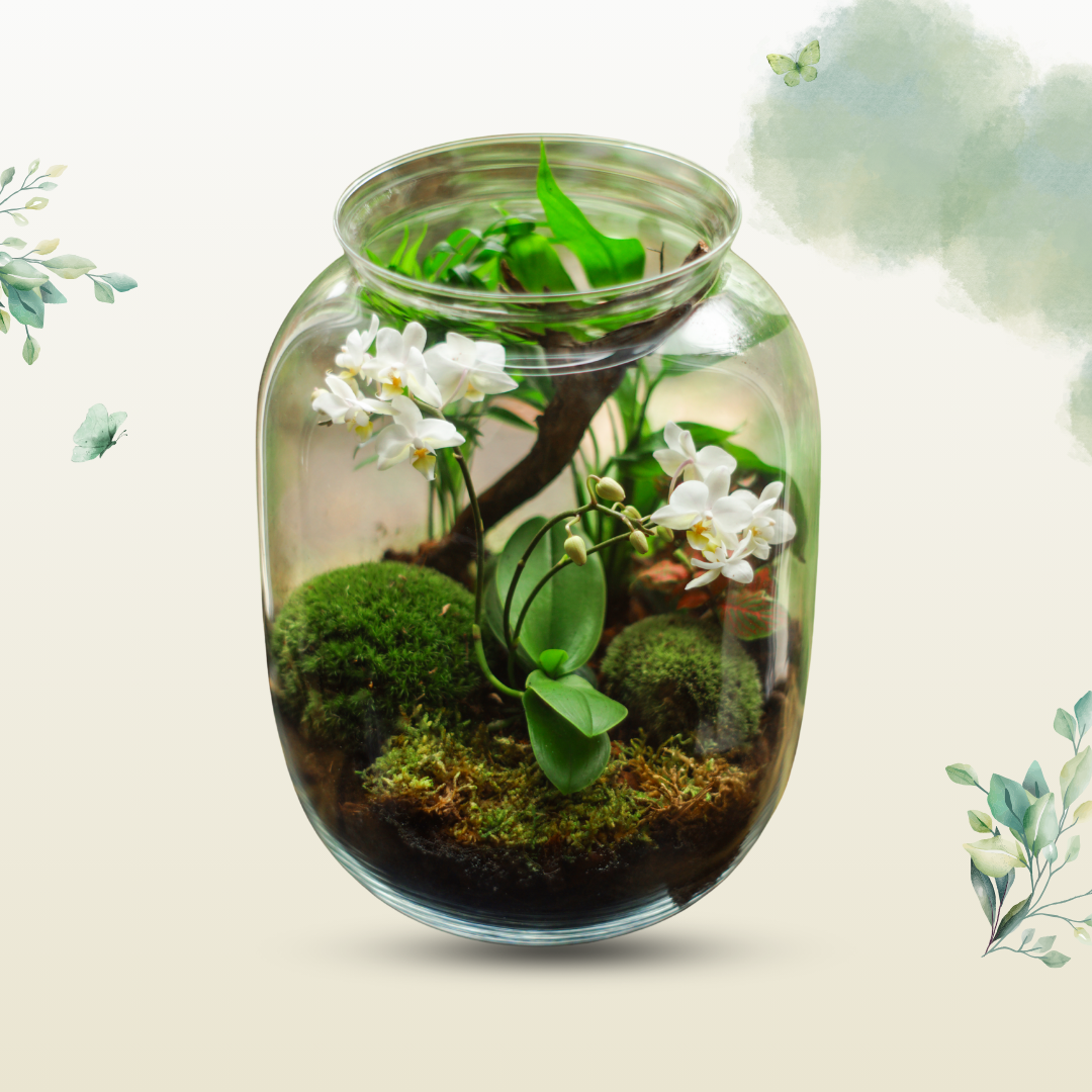 Terrarium